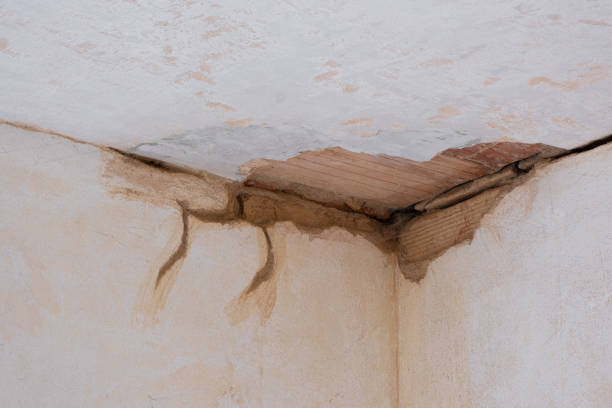 Best Carpet water damage restoration  in Akron, CO