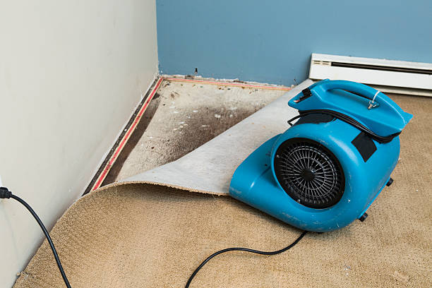 Best Flooded house restoration  in Akron, CO